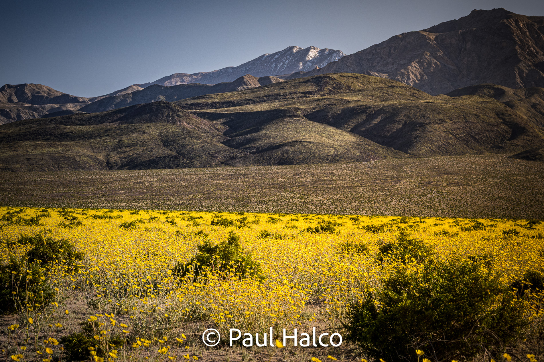 Paul Halco - Death Valley NP-10